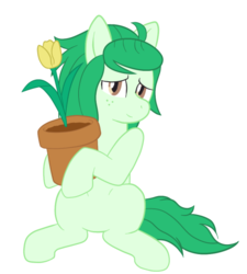 Size: 500x556 | Tagged: safe, artist:scraggleman, wallflower blush, earth pony, pony, equestria girls, equestria girls series, forgotten friendship, g4, cute, equestria girls ponified, female, flower, flowerbetes, mare, ponified, potted plant, simple background, sitting, smiling, solo, tulip, wallflower and plants