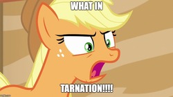 Size: 888x499 | Tagged: safe, edit, edited screencap, screencap, applejack, earth pony, pony, g4, angry, female, image macro, mare, meme, reaction image, solo, what in tarnation