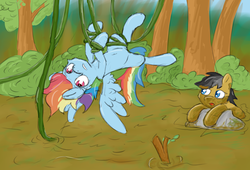 Size: 4424x3010 | Tagged: safe, artist:pzkratzer, quibble pants, rainbow dash, earth pony, pegasus, pony, g4, belly button, bondage, colored sketch, crash, dirty, duo, everfree forest, fail, female, jungle, male, mud, ship:quibbledash, shipping, sketch, straight, swamp, tangled up, vine