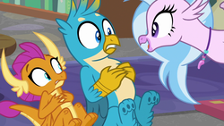 Size: 1280x720 | Tagged: safe, screencap, gallus, silverstream, smolder, dragon, griffon, hippogriff, g4, what lies beneath, bookshelf, dragoness, excited, female, hand on belly, jewelry, library, male, necklace, paw pads, paws, shocked, toe beans, toes, underfoot, underpaw, wide eyes