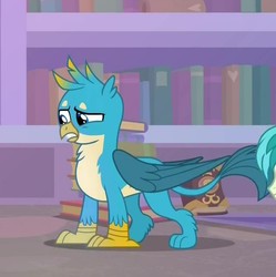 Size: 640x642 | Tagged: safe, screencap, gallus, sandbar, griffon, g4, what lies beneath, book, bookshelf, chest fluff, claws, cropped, library, offscreen character, paws, tail, wings
