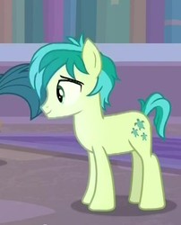 Size: 416x515 | Tagged: safe, screencap, gallus, sandbar, earth pony, pony, g4, what lies beneath, cropped, cutie mark, male, offscreen character