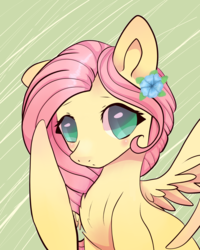 Size: 4000x5000 | Tagged: safe, artist:tuxisthename, fluttershy, pegasus, pony, g4, abstract background, bust, cute, female, flower, flower in hair, looking at you, mare, portrait, shyabetes, solo, spread wings, three quarter view, wings