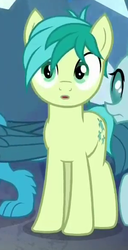 Size: 301x587 | Tagged: safe, screencap, gallus, ocellus, sandbar, earth pony, pony, g4, what lies beneath, cropped, male, offscreen character, paws, shocked, solo focus