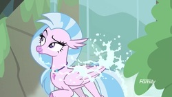 Size: 1920x1080 | Tagged: safe, screencap, silverstream, classical hippogriff, hippogriff, g4, what lies beneath, discovery family, discovery family logo, dreamworks face, female, lidded eyes, logo, raised eyebrow, solo, water, waterfall