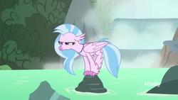 Size: 1920x1080 | Tagged: safe, screencap, silverstream, classical hippogriff, hippogriff, g4, season 8, what lies beneath, behaving like a bird, birds doing bird things, discovery family, discovery family logo, female, logo, narrowed eyes, perching, rock, silverstream is not amused, solo, unamused, water