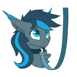 Size: 3000x3000 | Tagged: safe, artist:phenya, oc, oc only, oc:rosy firefly, pegasus, pony, blue eyes, blushing, chest fluff, collar, ear fluff, floppy ears, high res, leash, looking up, male, malesub, simple background, solo, stallion, sticker, submissive, transparent background