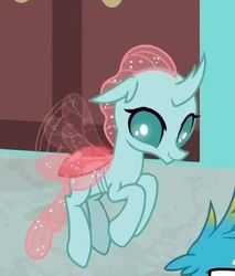 Size: 386x453 | Tagged: safe, screencap, gallus, ocellus, changedling, changeling, g4, what lies beneath, cropped, cute, diaocelles, female, flying, offscreen character, smiling, wings