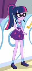Size: 200x441 | Tagged: safe, screencap, sci-twi, sunset shimmer, twilight sparkle, equestria girls, equestria girls specials, g4, my little pony equestria girls: better together, my little pony equestria girls: rollercoaster of friendship, clothes, cropped, geode of telekinesis, glasses, ponytail, shoes, skirt, socks