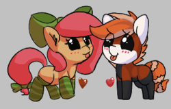 Size: 302x192 | Tagged: safe, artist:lockheart, artist:pabbley, oc, oc only, oc:cherry sweetheart, oc:pandy cyoot, earth pony, pony, red panda pony, :p, blushing, bow, clothes, female, hair bow, heart, looking at each other, mare, silly, simple background, smiling, socks, striped socks, tiny, tiny ponies, tongue out