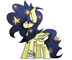 Size: 5000x4200 | Tagged: safe, artist:jxst-starly, oc, oc only, oc:lanternlight, pegasus, pony, absurd resolution, female, simple background, solo, transparent background