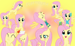 Size: 5000x3090 | Tagged: safe, artist:pilot231, fluttershy, bird, chicken, pegasus, pony, g4, blush sticker, blushing, clothes, collection, cute, dress, female, flying, gala dress, gradient background, happy, mare, ponytones outfit, shyabetes, solo, vector