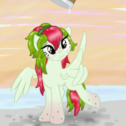 Size: 800x800 | Tagged: safe, artist:sjart117, oc, oc only, oc:watermelana, pony, beach, blushing, bucket, freckles, gradient hooves, prank, sad, water, wet, wet mane, wing hands