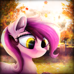 Size: 2000x2000 | Tagged: safe, artist:thefunnysmile, oc, oc only, oc:tux, pony, autumn, blurry background, bust, chest fluff, ear fluff, female, high res, leaf, leaves, lens flare, looking down, mare, muzzle fluff, portrait, smiling, solo