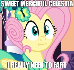 Size: 529x500 | Tagged: safe, edit, edited screencap, screencap, fluttershy, pony, make new friends but keep discord, cropped, female, image macro, implied farting, meme, need to fart, solo, we bought two cakes