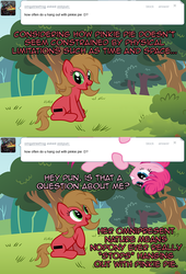 Size: 800x1178 | Tagged: safe, artist:nightmaremoons, pinkie pie, oc, oc:pun, earth pony, pony, ask pun, g4, alternate hairstyle, ask, female, fourth wall, mare, show accurate