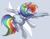 Size: 1024x804 | Tagged: safe, artist:lacedharlot, rainbow dash, pegasus, pony, g4, female, mare, open mouth, solo