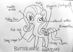 Size: 1280x917 | Tagged: safe, artist:tjpones, fluttershy, pegasus, pony, g4, aminals, anatomy, anatomy chart, anatomy guide, chart, derp, female, lineart, mare, raised hoof, silly art, simple background, solo, traditional art
