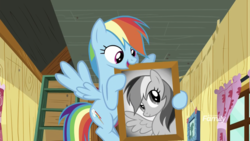 Size: 1334x750 | Tagged: safe, screencap, rainbow dash, pegasus, pony, g4, the washouts (episode), black and white, bust, clubhouse, crusaders clubhouse, curtains, discovery family logo, flying, grayscale, leader, monochrome, picture frame, portrait