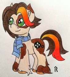 Size: 2893x3153 | Tagged: safe, artist:dawn-designs-art, oc, oc only, oc:film reel, earth pony, pony, high res, solo, traditional art