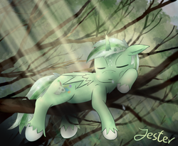 Size: 1701x1400 | Tagged: safe, artist:jesterpi, oc, oc only, oc:jester pi, pegasus, pony, cute, day, drool, eyes closed, in a tree, leaves, light, lying down, pegacorn, prone, sleeping, snooze, tree, tree branch, unshorn fetlocks