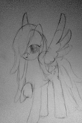 Size: 683x1024 | Tagged: safe, oc, oc only, oc:raincloud drops, pegasus, pony, pencil drawing, simple background, sketch, solo, traditional art, white background