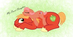 Size: 1253x637 | Tagged: safe, artist:millerrachel, big macintosh, oc, oc:sweet apple, earth pony, pony, g4, abstract background, base used, duo, father and daughter, female, filly, freckles, lying down, male, missing, offspring, parent:big macintosh, parent:fluttershy, parents:fluttermac, prone, sleeping, stallion, unshorn fetlocks