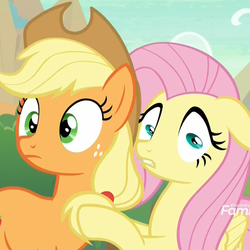 Size: 1079x1078 | Tagged: safe, screencap, applejack, fluttershy, earth pony, pegasus, pony, season 8, sounds of silence, spoiler:s08, cropped, duo, female, funny, great moments in animation, mare, meme, special eyes, wide eyes