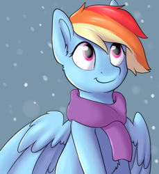Size: 1024x1117 | Tagged: safe, artist:dbleki, rainbow dash, pegasus, pony, g4, clothes, cute, female, looking up, mare, scarf, smiling, snow, solo
