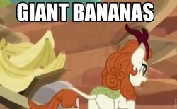 Size: 868x535 | Tagged: safe, edit, edited screencap, screencap, autumn blaze, kirin, g4, season 8, sounds of silence, banana, female, food, giant produce, image macro, meme, solo