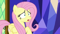 Size: 1920x1080 | Tagged: safe, screencap, fluttershy, pony, g4, sounds of silence, female, mare, shrunken pupils, solo