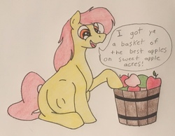 Size: 1964x1527 | Tagged: safe, artist:warrior_stew, apple bloom, earth pony, pony, g4, apple, belly, big belly, female, food, kicking, mommabloom, pregnant, solo, traditional art
