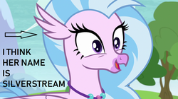 Size: 1280x718 | Tagged: safe, edit, edited screencap, screencap, silverstream, g4, non-compete clause, captain obvious, caption arrow, female, no shit sherlock, op is a silly pony, op is a slowpoke, solo