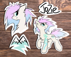 Size: 1942x1569 | Tagged: safe, artist:kejifox, oc, oc:jozie, chest fluff, cutie mark, female, reference sheet, wooden background