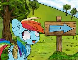Size: 928x720 | Tagged: safe, artist:alis-rosel, rainbow dash, pony, fall weather friends, g4, bound wings, derp, female, rope, scene interpretation, solo