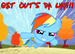 Size: 480x347 | Tagged: safe, artist:mlpmemes-and-mlpthings-123, edit, edited screencap, screencap, rainbow dash, pegasus, pony, fall weather friends, g4, animated, bound wings, caption, female, gif, meme, solo
