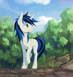 Size: 2860x3000 | Tagged: safe, artist:rublegun, oc, oc only, pony, unicorn, commission, high res, male, raised hoof, scenery, solo
