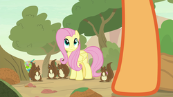 Size: 1920x1080 | Tagged: safe, screencap, applejack, fluttershy, pegasus, pony, squirrel, g4, sounds of silence, female, mare