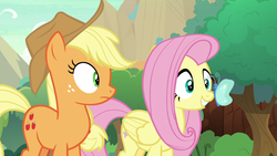 Size: 1920x1080 | Tagged: safe, screencap, applejack, fluttershy, butterfly, earth pony, pegasus, pony, g4, sounds of silence, boop, butterfly on nose, cute, duo, female, insect on nose, mare, shyabetes, smiling