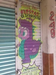 Size: 720x960 | Tagged: safe, spike, dragon, g4, bootleg, dragon costume, dragonception, inception, irl, mexico, photo, solo, spanish, tea room