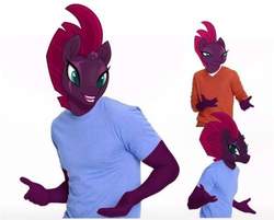 Size: 718x577 | Tagged: safe, tempest shadow, pony head on human body, g4, male, meme, solo, wat, when x asks
