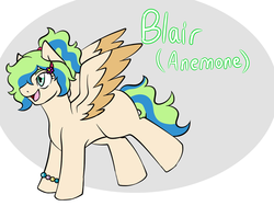 Size: 1024x768 | Tagged: safe, artist:jolliapplegirl, oc, oc only, oc:blair woods, pegasus, pony, australian, bracelet, colored wings, jewelry, multicolored wings, next generation, offspring, open mouth, simple background, solo, spread wings, wings