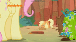Size: 1912x1068 | Tagged: safe, screencap, applejack, fluttershy, squirrel, g4, sounds of silence, angry, animated, bandicam, facehoof, female, messy mane, nickelodeon, sound, webm, yelling