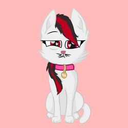 Size: 1084x1084 | Tagged: safe, artist:mewliciousness, oc, oc only, cat, cute, jewelry, meow, necklace, ocbetes, paws, red eyes, simple background, solo, tail