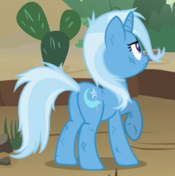 Size: 314x315 | Tagged: safe, screencap, trixie, pony, unicorn, g4, road to friendship, butt, cactus, cropped, female, mare, messy mane, plot, prickly pear, raised hoof, solo, underhoof