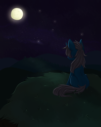 Size: 2000x2500 | Tagged: safe, artist:silbersternenlicht, oc, oc only, oc:blue moon, pony, unicorn, female, filly, high res, hill, missing cutie mark, moon, night, solo, stars