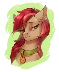 Size: 530x643 | Tagged: safe, artist:rrusha, roseluck, earth pony, pony, g4, bust, chest fluff, collar, commissioner:doom9454, crying, digital art, ear fluff, female, fluffy, mare, pet tag, pony pet, portrait, rosepet, sad, solo