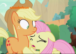 Size: 500x353 | Tagged: safe, screencap, applejack, fluttershy, g4, sounds of silence, cowering, ears back, nickelodeon, scared