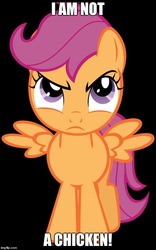 Size: 500x800 | Tagged: safe, scootaloo, pegasus, pony, g4, angry, black background, captain obvious, female, filly, image macro, imgflip, meme, scootachicken, scootaloo is not a chicken, simple background, small wings, solo, spread wings, text, unamused, wings