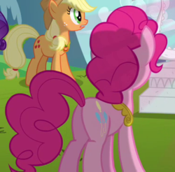 Size: 370x364 | Tagged: safe, screencap, applejack, pinkie pie, earth pony, pony, g4, keep calm and flutter on, butt, cropped, duo, element of honesty, element of laughter, female, mare, plot
